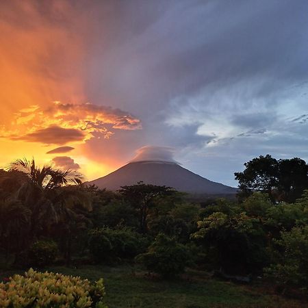 Altagracia Hostel Santa Cruz Ometepe מראה חיצוני תמונה